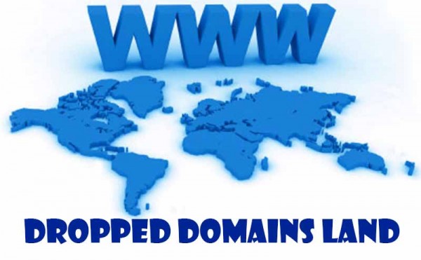 Buy or not to buy dropped domains?