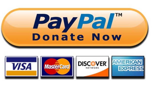 When and How to Add Paypal Donate Button