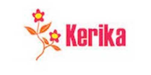 Online collaboration tools - Series B Kerika