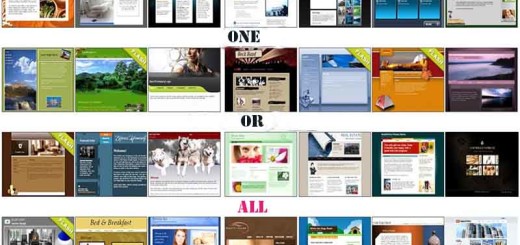 One big all niche site or many particular niche sites