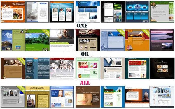 One big all niche site or many particular niche sites